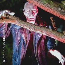 Nosferatus Auferstehung - morticus Ghosttours
