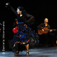 Pasi&oacute;n Flamenca