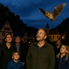Fledermausf&uuml;hrung in Pottenstein -  Das Geheimnis der Fledermausnacht