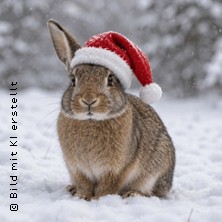 Unternehmen Weihnachtshase