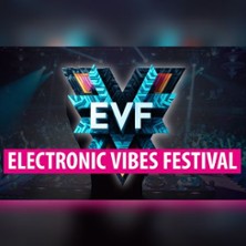 Electronic Vibes Festival