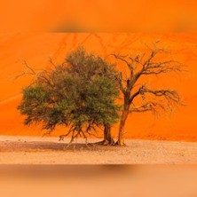 Namibia - Die Sch&ouml;nheit Afrikas / Eine Live-Multivisionsshow von Andreas Huber