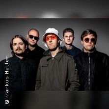 Oases - The Oasis Experience