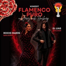 Flamenco Puro - Direkt aus Jerez de la Frontera nach Flensburg