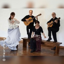Tablao Flamenco - Pasi&oacute;n Espanola