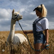 Alpaka Wanderung im sch&ouml;nen Chemnitztal