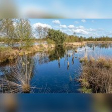 Burgakademie - Das Moor: Naturraum, Entstehung und Zukunft