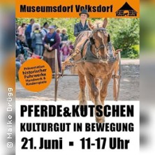 Pferde & Kutschen - Kulturgut in Bewegung