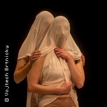 Victims & Images: Vol 2 | Mash Dance Berlin 2026