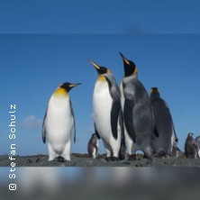 Stephan Schulz - 3D Show S&uuml;dtirol & Dolomiten