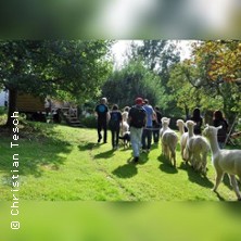 Die gro&szlig;e Alpaka Wanderung!