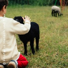 Schaf und Ziegen Kinder Abendteuer | Profaris