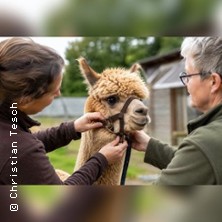 Handlingkurs f&uuml;r Alpakas