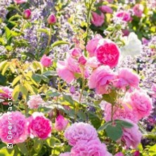 Opernfactory Hamburg