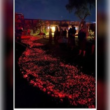 Feuerlauf Berlin &ndash;Erlebnisritual f&uuml;r Mut | ONFIRE - Firewalk Berlin/Brandenburg