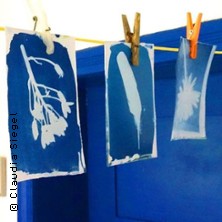 Blaue Naturbilder - Claudia Siegel