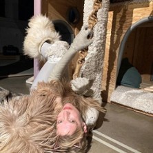 Katzen-Kratz-Traum | Theaterwerkstatt Pilkentafel