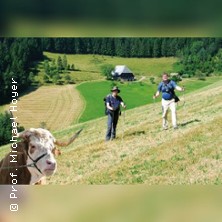 Schwarzwald - Direttissima wandern | Live-Multivision: 31 Tage - 301 km - 17461 H&ouml;henmeter