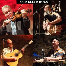 Old Blind Dogs - High energy from Scotland