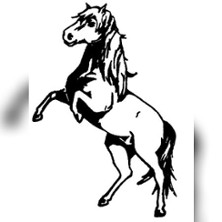 45. Ponyshow Wenigenauma