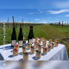 Weinbergwanderung mit Picknick