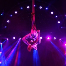 Circus Huberti