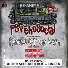 Re Animate Fest - Psychosocial