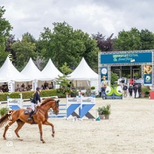 Springflut Festival 2026