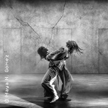 Der K&ouml;rper als Grenze mit Maya N. Gomez