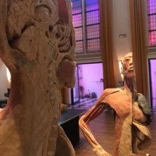 K&ouml;rper Sonderausstellung