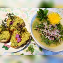 Pikante Kr&auml;uterlandschaft im Fr&uuml;hling