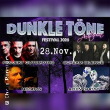 Dunkle T&ouml;ne Autumn 26