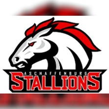 Aschaffenburg Stallions