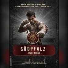 S&uuml;dpfalz Fight Night
