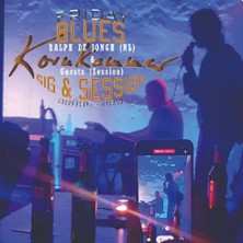 Blues Gig & Session By Ralph De Jongh