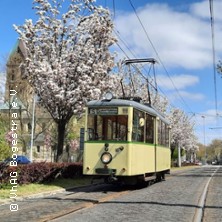 Sonderfahrten mit Tw 96