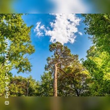 Waldbaden im Ostseeheilbad Graal-M&uuml;ritz