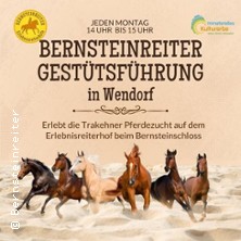 Gest&uuml;tsf&uuml;hrung Wendorf / Erlebnisreiterhof Bernsteinreiter