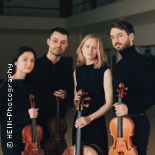 Kammermusik in den REM: 3. Konzert -  NOVO Quartet