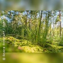 Moorwanderung mit Dr. Hans Hartmeyer