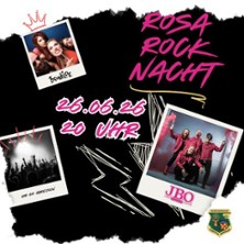 Rosa Rocknacht mit J.B.O.