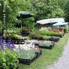 Pflanzenrarit&auml;tenb&ouml;rse im Botanischen Garten der Universit&auml;t Jena