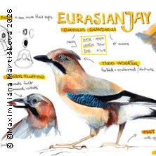 Nature Journaling: Die Welt der V&ouml;gel