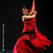 Flamenco Vivo