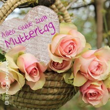 Muttertagskonzert - Galakonzert im Dresdner Zwinger - DRESDNER RESIDENZ ORCHESTER