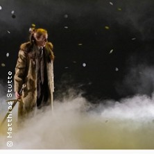 Merlin oder Das w&uuml;ste Land