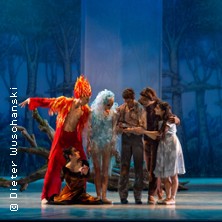 Der blaue Vogel oder Die Suche nach dem Gl&uuml;ck