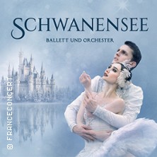 Schwanensee - Ballett mit Orchester