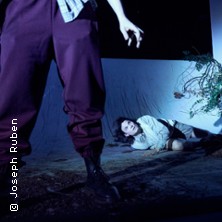 Wolf - Theater Bielefeld