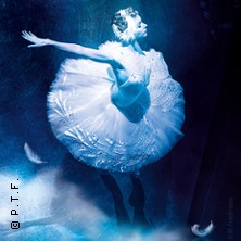 Schwanensee - Stadthalle Erding